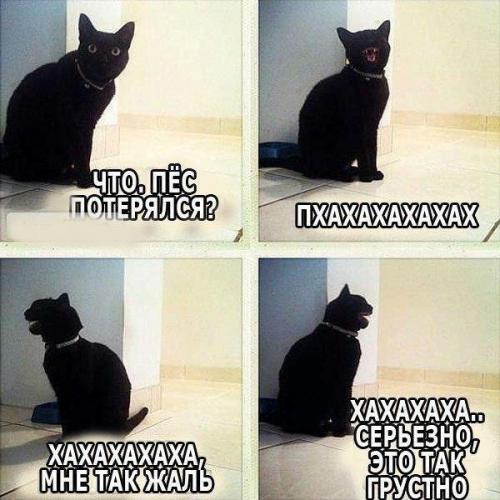 пропала собака )))