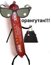 Удивительное соответствие ника "Delovaya Kolbasa" тону "послания". Кстати, в разговорной речи допустимо использование слова "орангутанг". А Вы, многоуважаемая колбаса, что видите в зеркале?