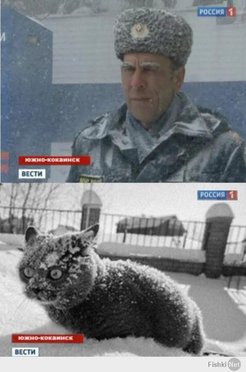 Фишкина солянка за 27.01.2014