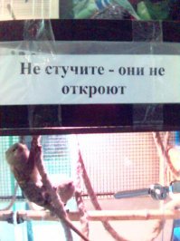 Смешные надписи и объявления