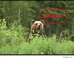  У каждой девушки есть своя цена