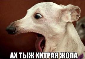 Самый хитрый гол в истории футбола 