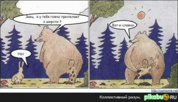 Месть Михаила Потапыча