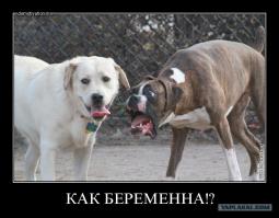  Жена оригинально сообщила мужу о беременности