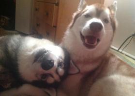 Улучшатели настроения