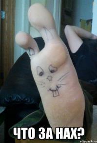 Фотоподборка за 26.05.2014