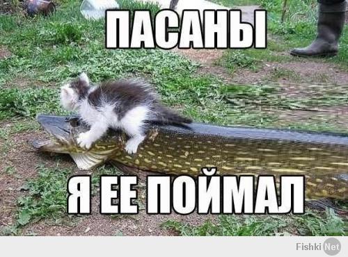 Любителям рыбалки посвящается