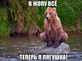 Уставший медведь уснул на опоре ЛЭП