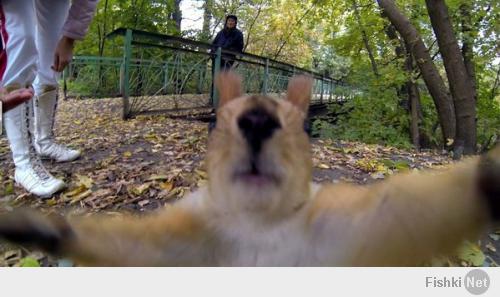 Селфи для фишек