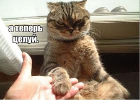 Доминируй, властвуй, унижай!