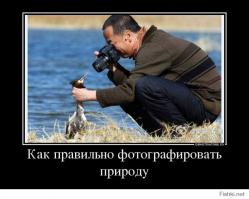 Лучшие фотографии животных со всего мира за неделю