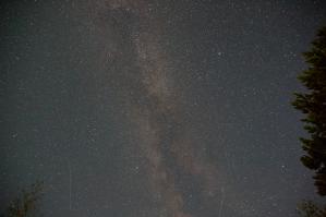 Добавлю из своего.
Я. Млечный путь. Туманность Андромеды, в центре справа от кроны дерева.