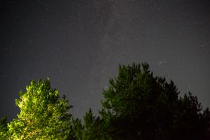 Добавлю из своего.
Я. Млечный путь. Туманность Андромеды, в центре справа от кроны дерева.