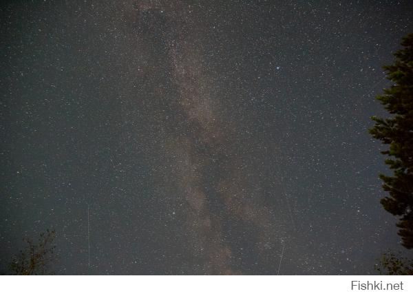 Добавлю из своего.
Я. Млечный путь. Туманность Андромеды, в центре справа от кроны дерева.
