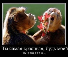 Объявления знакомств прошлого века