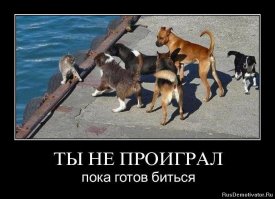 12 причин никогда не сдаваться