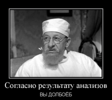 Кекенхоф (Keukenhof) - королевский парк цветов в Нидерландах