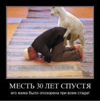 Пятничная подборка приколов