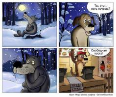 Фишкина солянка за 24.10.2014