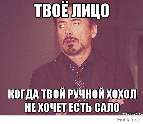 ЕВРОПЕЙСКИЙ СУД ПОСЛАЛ АДВОКАТОВ САВЧЕНКО