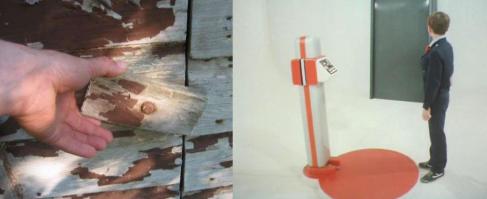 Сортир в лесу