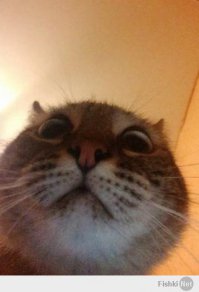 А зачем надо было сначала въехать а потом так странно пытаться выехать оттуда?