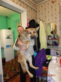 Мой пёс Дик