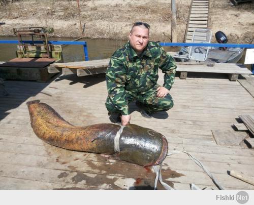 почему??? обычный средний сазан!!!
вот в апреле тож отличились)))
а ****нным знатокам рыбы *******ить
что он тиной воняет,НИХУЯ не воняет,
ПИЗДЁШЬ!!!