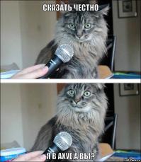 Животные, которые ведут себя как люди 