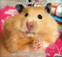 ЖАДНЫЙ ХОМЯК И КОТ 