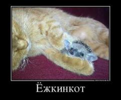  17 причин полюбить Ежа 