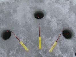 А вот я предпочитаю, 
как можно больше свободного времени,
проводить именно так ;)