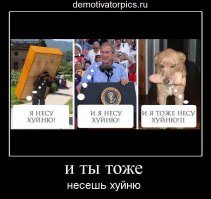 Фотоотчет о спасении черепахи