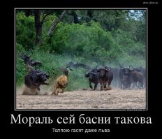 Туристы случайно засняли материал, который профессионалы не могут снят