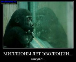 Чудики из социальных сетей