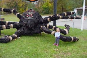  Картинки со смешными подписями