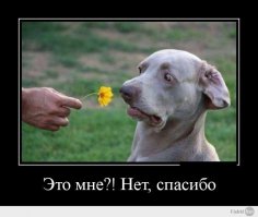 Фотоподборка за 10.04.15