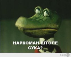 Современная жизнь в картинках