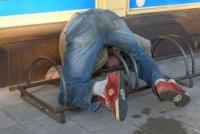 10 животных, которые могут спать где угодно и как угодно