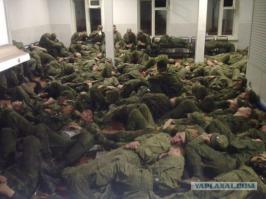 10 животных, которые могут спать где угодно и как угодно