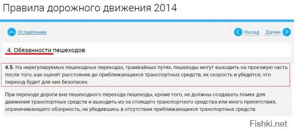 Таким пешеходам стоит напомнить что у них тоже есть "обязанности".