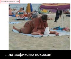 Странности нашей жизни и не только в картинках