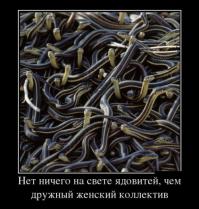 Подборка видео от 03.07.2014