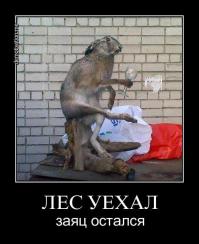 последнее - эпичненько