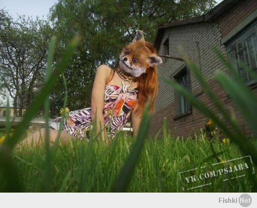 Странно, что лиса сделали не так :) :) :)