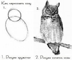 Результат хорош, но хотелось бы побольше подробностей, а пока: