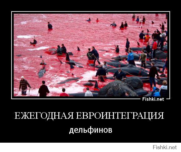 Запостил это 8 месяцев назад, к сожалению на Украине сбылось.
Евроинтеграция проходит как у дельфинов на фарерах