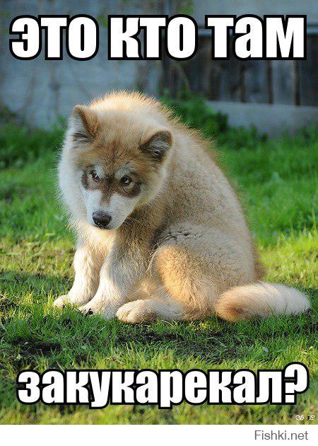  Поездка во Львов