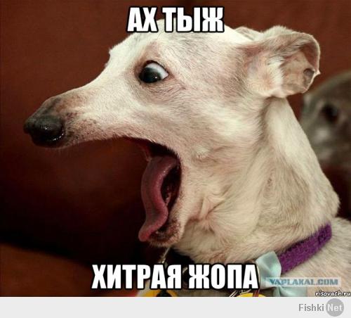 Реакции разных собак на ловкость рук одного человека))