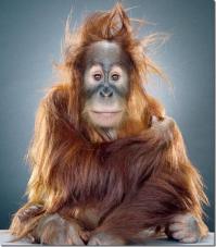 Душевный пост, я с утра!